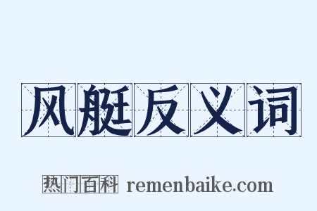 风艇反义词是什么意思的图片